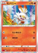 6-scorbunny