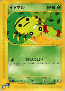 6-spinarak