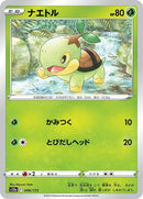 6-turtwig