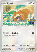 60-bidoof