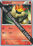 61-cyndaquil-christopherkan