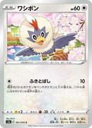 61-rufflet