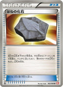 62-plumefossil