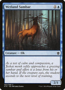 62-wetlandsambar