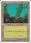 63-forest