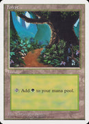 64-forest