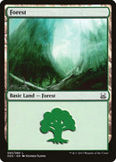 65-forest