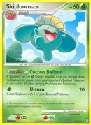 65-skiploom