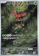 65-tapubulu