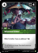 65-wizenedelder
