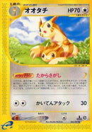 66-furret