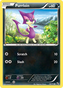66-purrloin