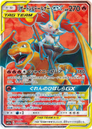 67-charizardbraixengx