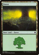 67-forest