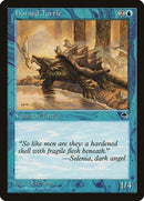 67-hornedturtle