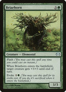 69-briarhorn