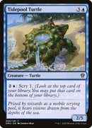 69-tidepoolturtle