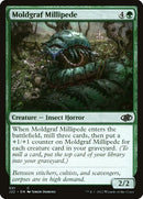 691-moldgrafmillipede