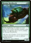 695-nessianhornbeetle