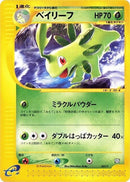 7-bayleef