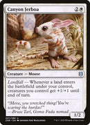 7-canyonjerboa