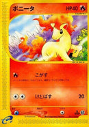 7-ponyta
