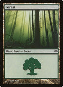 70-forest