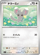 70-minccino