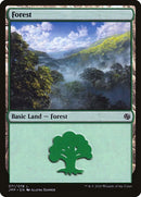 71-forest