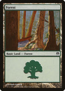 71-forest