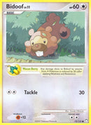 73-bidoof