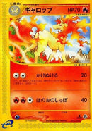 73-rapidash