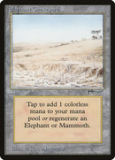 74-elephantgraveyard
