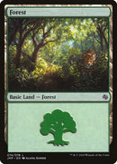 74-forest