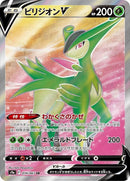 74-virizionv