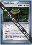 75-giantstump-tomroos