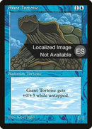 76-gianttortoise