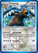 76-ursaring-teamplasma