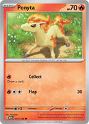 77-ponyta