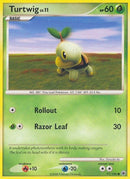 77-turtwig