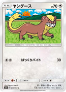 77-yungoos