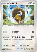 78-tauros