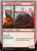 79-commoniguana