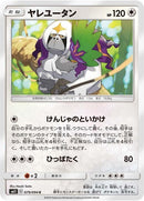 79-oranguru