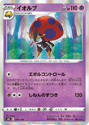 79-orbeetle