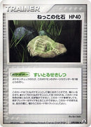 79-rootfossil