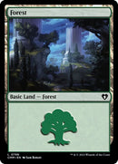 798-forest
