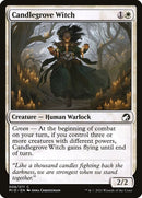 8-candlegrovewitch
