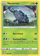 8-heracross