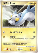 8-pachirisu